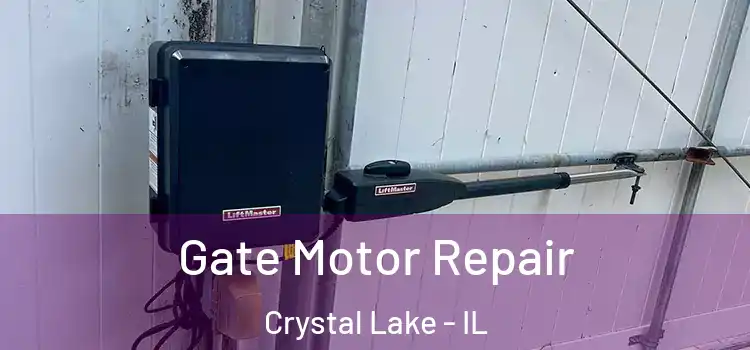 Gate Motor Repair Crystal Lake - IL
